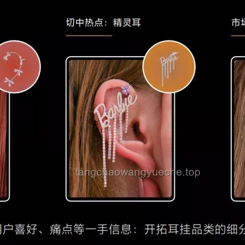 耳环市场的细分化趋势与品牌策略创新案例研究